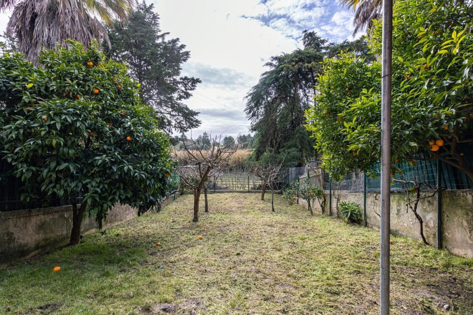 Villa Hidden Garden Near The Castle Óbidos Esterno foto