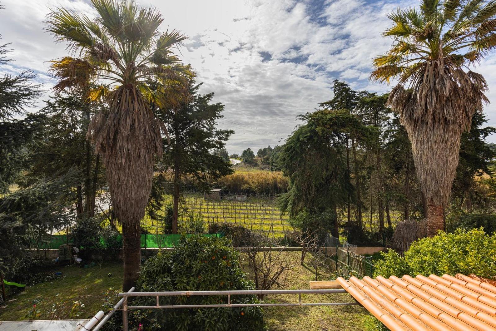 Villa Hidden Garden Near The Castle Óbidos Esterno foto